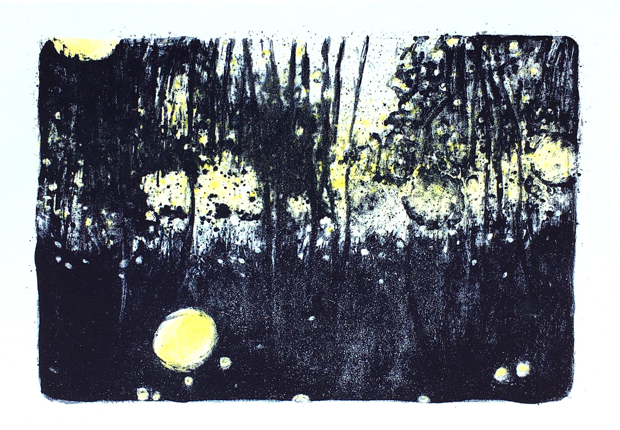 amelie vidgrain